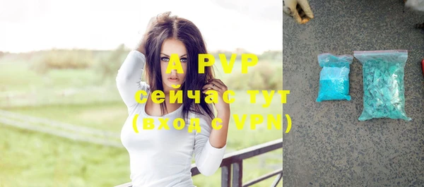 стаф Новый Уренгой