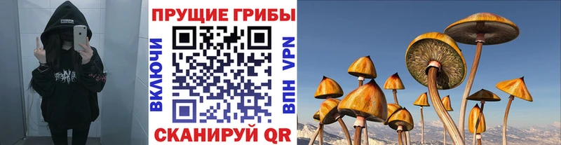 OMG ссылка это формула Псилоцибиновые грибы мухоморы Хилок